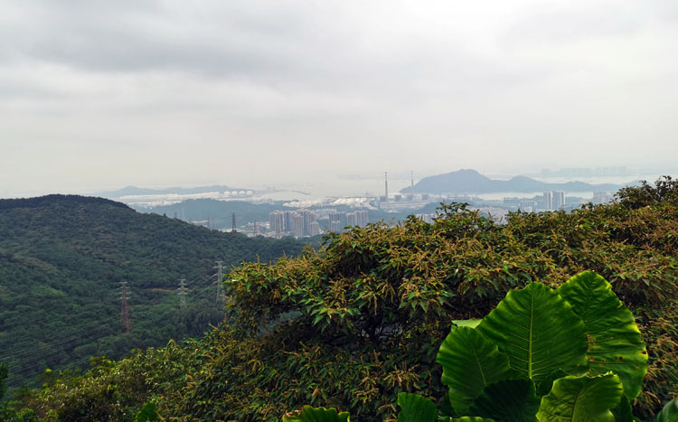 激揚青春、奮勇攀登登山活動